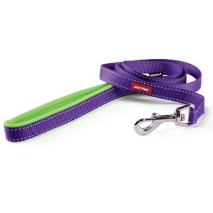 Active Lead - Purple & Lime