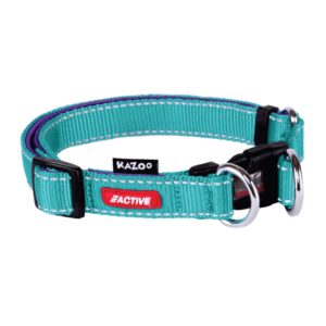 Active Easy-clip Collar - Aqua & Purple