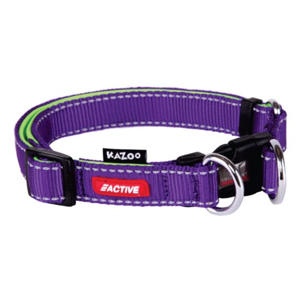 Active Easy-clip Collar - Purple & Lime
