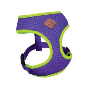Active Soft Walking Harness - Purple & Lime